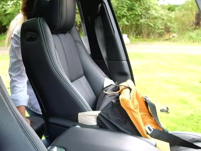How to Safely Install a Dog Car Seat: The Ultimate Guide